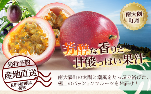 【2026年先行予約】贈答用パッションフルーツ1kg ( 約11個 )濱田農園 ｜先行予約 産地直送 新鮮 パッション フルーツ 南大隅町 果物 果実 ギフト プレゼント濱田農園 贈答用 人気 南国フルー｜HB-706