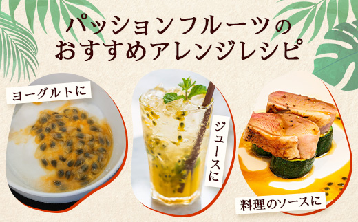 【2026年先行予約】贈答用パッションフルーツ1kg ( 約11個 )濱田農園 ｜先行予約 産地直送 新鮮 パッション フルーツ 南大隅町 果物 果実 ギフト プレゼント濱田農園 贈答用 人気 南国フルー｜HB-706