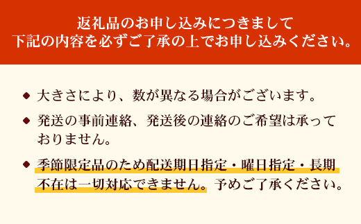 【2026年先行予約】贈答用パッションフルーツ1kg ( 約11個 )濱田農園 ｜先行予約 産地直送 新鮮 パッション フルーツ 南大隅町 果物 果実 ギフト プレゼント濱田農園 贈答用 人気 南国フルー｜HB-706