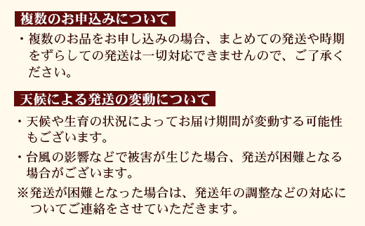 【2026年先行予約】贈答用パッションフルーツ1kg ( 約11個 )濱田農園 ｜先行予約 産地直送 新鮮 パッション フルーツ 南大隅町 果物 果実 ギフト プレゼント濱田農園 贈答用 人気 南国フルー｜HB-706