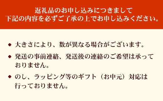 【2026年・先行予約】【訳あり品】家庭用パッションフルーツ2kg ( 約22～24個 )濱田農園 HB-708