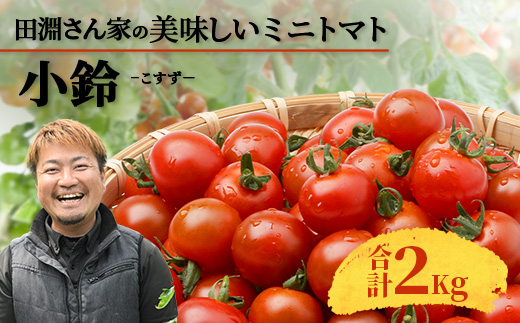 田淵さんちの美味しいミニトマト 小鈴約2kg（1.0kg×2箱） GP-709| 野菜 トマト ミニトマト 産地直送 ミニトマト 新鮮 トマト 南大隅町産 ミニトマト おいしい  ミニトマト