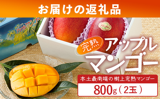 âªå
è¡äºçŽã»æ°ééå®â« âæ¬åæå端âäœå€ã®ææš¹åã§è²ãŠã å®çã¢ããã«ãã³ãŽãŒ çŽ800g ( 2ç ) ã2026幎7æäžæ¬ä»¥éé æ¬¡çºéã ST-406 ïœé¹¿å
å³¶ç å倧é
ç£å°çŽé æ¬ ãã³ãŽãŒ ãã«ãŒã æç© ãã ãã®