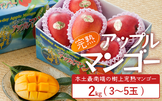 ≪先行予約・数量限定≫ ☆本土最南端☆佐多の果樹園で育てた 完熟アップルマンゴー 約2kg (3～5玉) 【2026年7月上旬以降順次発送】 ST-408 ｜鹿児島県 南大隅 産地直送 旬 マンゴー フルーツ 果物 くだもの 