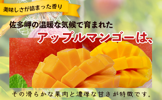 ≪先行予約・数量限定≫ ☆本土最南端☆佐多の果樹園で育てた 完熟アップルマンゴー 約2kg (3～5玉) 【2026年7月上旬以降順次発送】 ST-408 ｜鹿児島県 南大隅 産地直送 旬 マンゴー フルーツ 果物 くだもの 