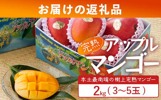 ≪先行予約・数量限定≫ ☆本土最南端☆佐多の果樹園で育てた 完熟アップルマンゴー 約2kg (3～5玉) 【2026年7月上旬以降順次発送】 ST-408 ｜鹿児島県 南大隅 産地直送 旬 マンゴー フルーツ 果物 くだもの 