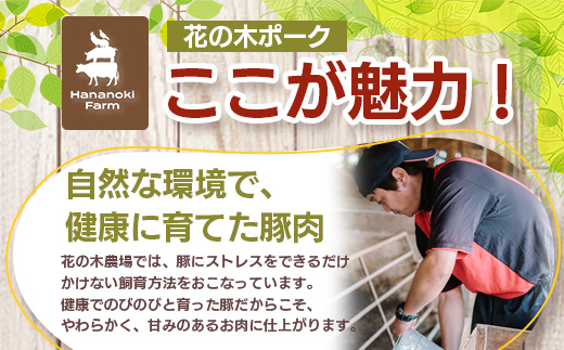 花の木農場【ハム詰め合わせセット】7種 計1,000g HK-501｜ハム ソーセージ 詰め合わせ セット ウインナー クラフトハム 国産 厳選 ノウフク 鹿児島県 南大隅町 第2花の木ファーム　