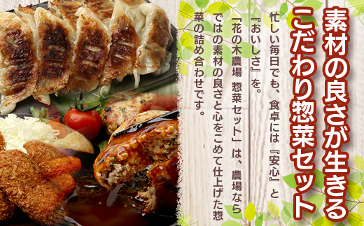 è±ã®æšèŸ²å Žãäººæ°æ£èã»ãããïŒçš® HK-504ïœæ£è é€å ãããã å·å ãã³ããŒã° ãã ã³ããã± ã³ããã± å·å å·¥å ŽçŽé ç°¡å調ç åœç£ å³éž ããŠã㯠鹿å
å³¶ç å倧é
çº ç¬¬2è±ã®æšãã¡ãŒã