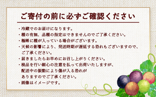 【期間限定!数量限定!】2026年7月下旬発送 旬のブドウ味くらべ約3kg (6～7房) TE710｜産地直送 旬 ブドウ 葡萄 ぶどう フルーツ 果物 くだもの 果実 食べ比べ 鹿児島県 南大隅町 有限会社ティエラ　