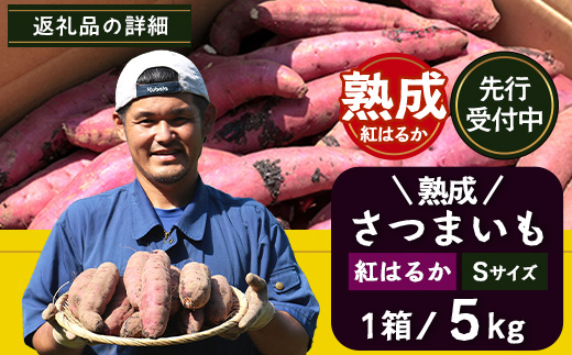 【鹿児島県産】熟成 紅はるか 5kg (1箱 ) Sサイズ さつまいも 【2025年11月下旬より順次発送】FR-212