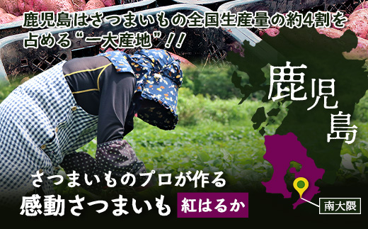 【鹿児島県産】熟成 紅はるか 3kg (1箱 ) Lサイズ 感動さつまいも　FR-531