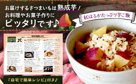 【鹿児島県産】熟成 紅はるか 3kg (1箱 ) Lサイズ 感動さつまいも　FR-531