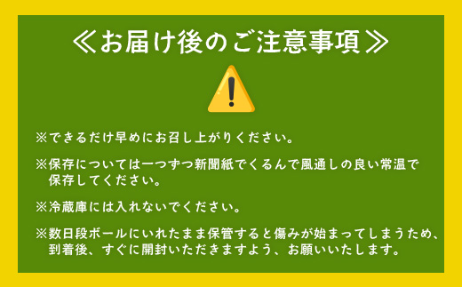 【鹿児島県産】熟成 紅はるか 3kg (1箱 ) Lサイズ 感動さつまいも　FR-531