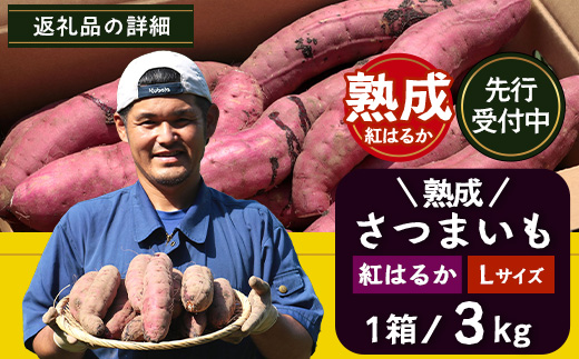 【鹿児島県産】熟成 紅はるか 3kg (1箱 ) Lサイズ 感動さつまいも　FR-531
