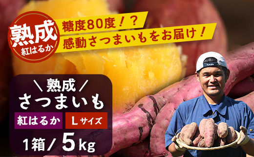 【鹿児島県産】熟成 紅はるか 5kg (1箱 ) Lサイズ さつまいも【2025年11月下旬より順次発送】FR-216