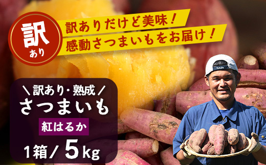 【訳あり】【先行予約・2025年11月下旬より順次発送】鹿児島県産 熟成 紅はるか 5kg (1箱 ) Sサイズ (おすそ分け袋／美味しい焼き芋の焼き方 説明書付き） FR-217 | さつまいも サツマイモ 焼き芋 べにはるか おやつ 煮物 芋ごはん 味噌汁 鹿児島県 南大隅町 株式会社フォレスト 訳あり