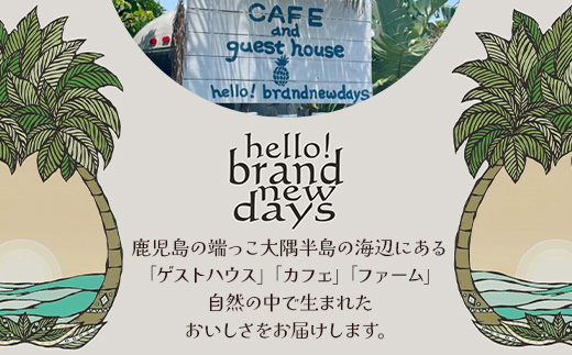 絶品！南大隅町産パッションフルーツ【リリコイバター】約160g×1瓶 HB-703 ｜リリコイ 国産 バター ジャム ばたー じゃむ パッションフルーツ フルーツ バタージャム スプレッド ギフト 南大隅町