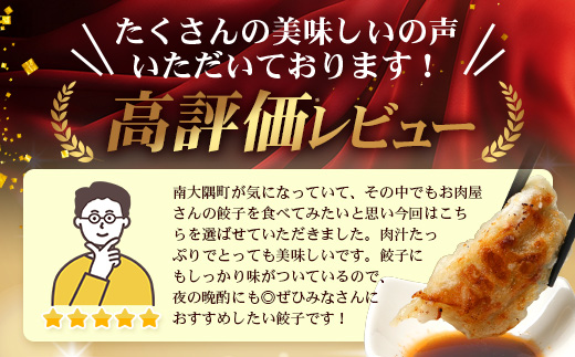 《リピーター続出！》佐多の田中肉屋 ニンニクたっぷりやみつき餃子 180個（12個入×15P） 餃子のタレ2本付き TA-1 | ぎょうざ 餃子 ギョウザ 豚肉 ひき肉 にんにく スタミナ餃子 焼くだけ 簡単 小分け 大容量 手作り お惣菜 おかず 冷凍 鹿児島県 南大隅町 田中精肉店