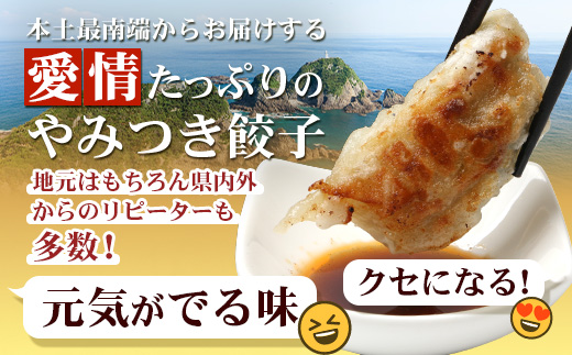 《リピーター続出！》佐多の田中肉屋 ニンニクたっぷりやみつき餃子 240個（12個入り×20パック） 餃子のタレ3本付き TA-2 | ぎょうざ 餃子 ギョウザ 豚肉 ひき肉 にんにく スタミナ餃子 焼くだけ 簡単 小分け 大容量 手作り お惣菜 おかず 冷凍 鹿児島県 南大隅町 田中精肉店