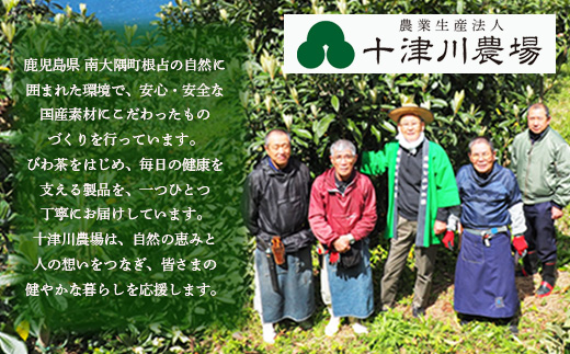 ãèš³ããã鹿å
å³¶çç£ ãããã³ãè¶ ã¹ãã£ãã¯ãŒãªãŒ+plusïŒ10gÃ100æ¬å
¥ïŒ TO-6 | åœç£ é£ç©ç¹ç¶ ã³ã©ãŒã²ã³ ä¹³é
žè ãŒãªãŒ ã¹ãã£ãã¯ãŒãªãŒ ãã〠ã³ãã®è ç£å°çŽé 鹿å
å³¶ç å倧é
çº åæŽ¥å·èŸ²å Ž