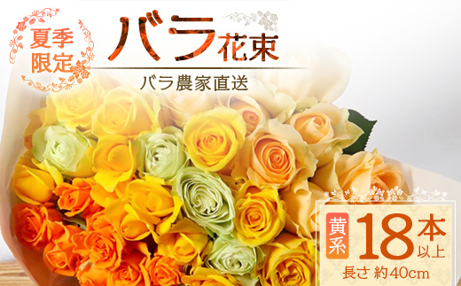 【先行予約・夏季限定 薔薇】ばら農家直送！バラ花束18本以上お届け(黄系)【ギフト対応可】TB-3│ローズ 新鮮 花 フラワー 花束 ばら 薔薇 バラ 誕生日 記念日 結婚祝い ギフト プレゼント お祝い 贈り物 贈答 鹿児島県 南大隅町 富田バラ園