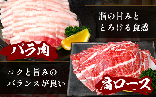 【スピード発送】鹿児島県産 ひかり麦豚 しゃぶしゃぶ 食べ比べセット ≪合計約2kg≫ （200g×10パック） トレーなし 冷凍 HM-2 | 最短 7日以内 1週間以内 肉 お肉 にく 豚肉 ロース 肩ロース バラ肉 冷凍 真空冷凍 産地直送 新鮮 国産 鹿児島県 南大隅町 ひかり麦豚直売所