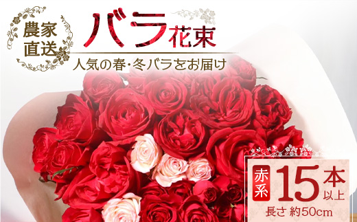 【人気の春・冬薔薇をお届け】 ばら農家直送 ！ バラ花束15本以上お届け(赤系) 【ギフト対応可】  ≪2026年1月1日～8日 日付指定不可≫ TB-9│ローズ 新鮮 花 フラワー 花束 ばら 薔薇 バラ 誕生日 記念日 結婚祝い ギフト プレゼント お祝い 贈り物 贈答 鹿児島県 南大隅町 富田バラ園