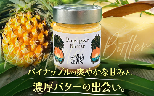 絶品！南大隅町産 パイナップルバター 1瓶 (160g×1個)｜パイナップル バター フルーツ ジャム 加工品 スプレッド 国産 南国フルーツ 手作り 鹿児島県  南大隅町 hello! brand new days　HB-1