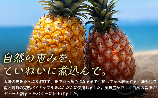 絶品！南大隅町産 パイナップルバター 1瓶 (160g×1個)｜パイナップル バター フルーツ ジャム 加工品 スプレッド 国産 南国フルーツ 手作り 鹿児島県  南大隅町 hello! brand new days　HB-1