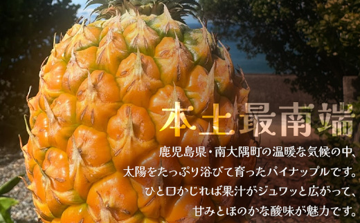 絶品！南大隅町産 パイナップルバター 1瓶 (160g×1個)｜パイナップル バター フルーツ ジャム 加工品 スプレッド 国産 南国フルーツ 手作り 鹿児島県  南大隅町 hello! brand new days　HB-1