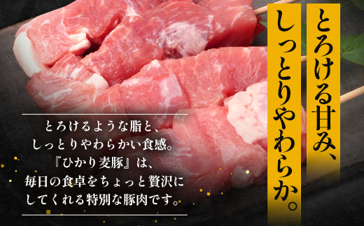 鹿児島県産 ひかり麦豚 串焼きとん 計32本 （4本×8パック）冷凍 HM-9 | 肉 お肉 にく 豚肉 焼豚 串焼 冷凍 BBQ おつまみ 加工品 真空冷凍 新鮮 小分け 産地直送 鹿児島県 南大隅町 ひかり麦豚直売所
