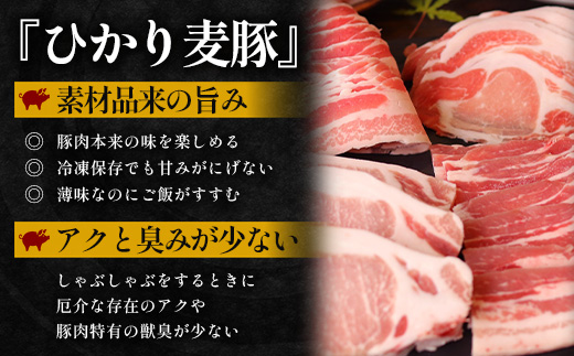 鹿児島県産 ひかり麦豚 串焼きとん 計32本 （4本×8パック）冷凍 HM-9 | 肉 お肉 にく 豚肉 焼豚 串焼 冷凍 BBQ おつまみ 加工品 真空冷凍 新鮮 小分け 産地直送 鹿児島県 南大隅町 ひかり麦豚直売所