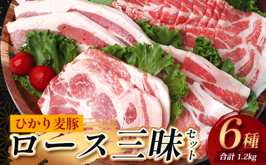 鹿å
å³¶çç£ ã²ããéºŠè± ããŒã¹äžæ§ã»ãã6çš®é¡ ïŒ200gÃ6ããã¯ïŒèš1.2kg ãã¬ãŒãªã å·å HM-12 | 粟è è ãè ã«ã è±è ããŒã¹è ããŒã¹ è©ããŒã¹ ç空å·å æ°é®® å°åã ç£å°çŽé 鹿å
å³¶ç å倧é
çº ã²ãã麊è±çŽå£²æ