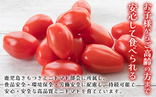 ãæééå®ãç°æ·µããã¡ã®çŸå³ãã ããããã ã·ã¥ã¬ãŒãã©ã ïŒçŽ700gïŒGP-1ïœé¹¿å
å³¶ç å倧é
ç£å°çŽé æ¬ ãšãŸãš ããã ããããã ãªã³ãã³ å®ç çã é«ç³åºŠ éè ããã éæç¡æ