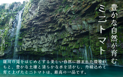 ãæééå®ãç°æ·µããã¡ã®çŸå³ãã ããããã ã·ã¥ã¬ãŒãã©ã ïŒçŽ700gïŒGP-1ïœé¹¿å
å³¶ç å倧é
ç£å°çŽé æ¬ ãšãŸãš ããã ããããã ãªã³ãã³ å®ç çã é«ç³åºŠ éè ããã éæç¡æ