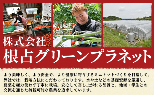 ãæééå®ãç°æ·µããã¡ã®çŸå³ãã ããããã ã·ã¥ã¬ãŒãã©ã ïŒçŽ700gïŒGP-1ïœé¹¿å
å³¶ç å倧é
ç£å°çŽé æ¬ ãšãŸãš ããã ããããã ãªã³ãã³ å®ç çã é«ç³åºŠ éè ããã éæç¡æ