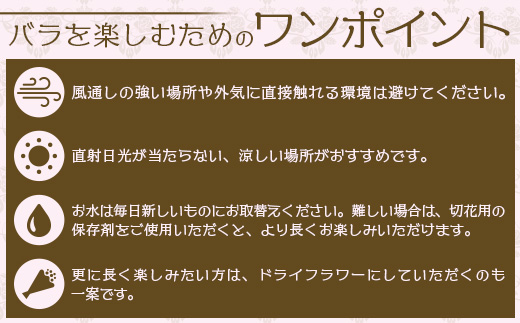 【人気の春・冬薔薇をお届け】 ばら農家直送 ！ バラ花束15本以上お届け(ピンク系) 【ギフト対応可】 TB-10│ローズ 新鮮 花 フラワー 花束 ばら 薔薇 バラ 誕生日 記念日 結婚祝い ギフト プレゼント お祝い 贈り物 贈答 鹿児島県 南大隅町 富田バラ園