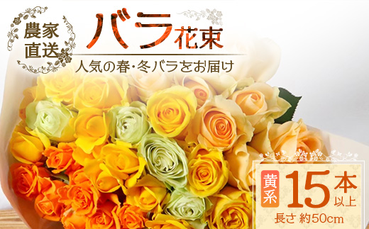 【人気の春・冬薔薇をお届け】 ばら農家直送 ！ バラ花束15本以上お届け(黄系) 【ギフト対応可】 ≪2026年1月1日～8日 日付指定不可≫ TB-11│ローズ 新鮮 花 フラワー 花束 ばら 薔薇 バラ 誕生日 記念日 結婚祝い ギフト プレゼント お祝い 贈り物 贈答 鹿児島県 南大隅町 富田バラ園