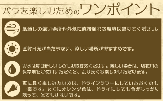 【人気の春・冬薔薇をお届け】 ばら農家直送 ！ バラ花束15本以上お届け(黄系) 【ギフト対応可】TB-11│ローズ 新鮮 花 フラワー 花束 ばら 薔薇 バラ 誕生日 記念日 結婚祝い ギフト プレゼント お祝い 贈り物 贈答 鹿児島県 南大隅町 富田バラ園