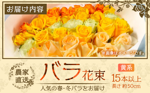 【人気の春・冬薔薇をお届け】 ばら農家直送 ！ バラ花束15本以上お届け(黄系) 【ギフト対応可】TB-11│ローズ 新鮮 花 フラワー 花束 ばら 薔薇 バラ 誕生日 記念日 結婚祝い ギフト プレゼント お祝い 贈り物 贈答 鹿児島県 南大隅町 富田バラ園