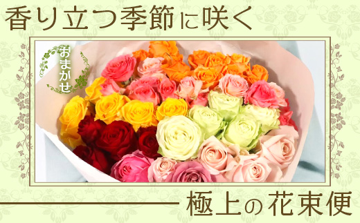 【人気の春・冬薔薇をお届け】 ばら農家直送 ！ バラ花束15本以上お届け(色はおまかせ) 【ギフト対応可】TB-12│ローズ 新鮮 花 フラワー 花束 ばら 薔薇 バラ 誕生日 記念日 結婚祝い ギフト プレゼント お祝い 贈り物 贈答 鹿児島県 南大隅町 富田バラ園