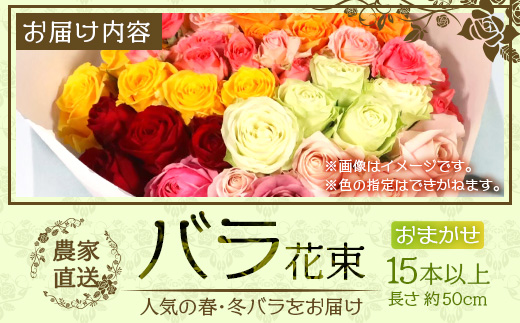 【人気の春・冬薔薇をお届け】 ばら農家直送 ！ バラ花束15本以上お届け(色はおまかせ) 【ギフト対応可】TB-12│ローズ 新鮮 花 フラワー 花束 ばら 薔薇 バラ 誕生日 記念日 結婚祝い ギフト プレゼント お祝い 贈り物 贈答 鹿児島県 南大隅町 富田バラ園
