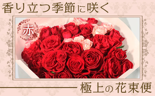 【人気の春・冬薔薇をお届け】 ばら農家直送 ！ バラ花束30本以上お届け(赤系) 【ギフト対応可】 TB-13│ローズ 新鮮 花 フラワー 花束 ばら 薔薇 バラ 誕生日 記念日 結婚祝い ギフト プレゼント お祝い 贈り物 贈答 鹿児島県 南大隅町 富田バラ園