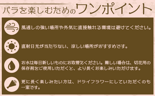 【人気の春・冬薔薇をお届け】 ばら農家直送 ！ バラ花束30本以上お届け(赤系) 【ギフト対応可】 TB-13│ローズ 新鮮 花 フラワー 花束 ばら 薔薇 バラ 誕生日 記念日 結婚祝い ギフト プレゼント お祝い 贈り物 贈答 鹿児島県 南大隅町 富田バラ園