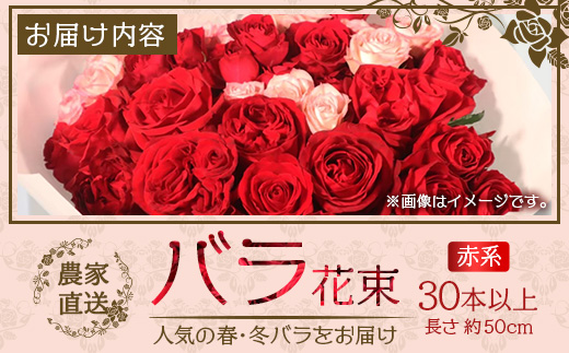 【人気の春・冬薔薇をお届け】 ばら農家直送 ！ バラ花束30本以上お届け(赤系) 【ギフト対応可】 TB-13│ローズ 新鮮 花 フラワー 花束 ばら 薔薇 バラ 誕生日 記念日 結婚祝い ギフト プレゼント お祝い 贈り物 贈答 鹿児島県 南大隅町 富田バラ園