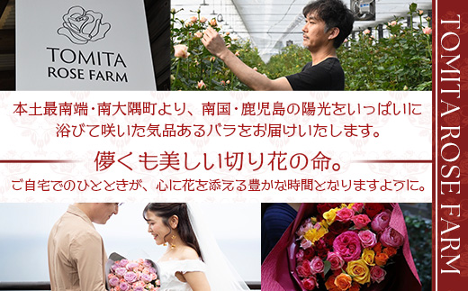 【人気の春・冬薔薇をお届け】 ばら農家直送 ！ バラ花束30本以上お届け(赤系) 【ギフト対応可】 TB-13│ローズ 新鮮 花 フラワー 花束 ばら 薔薇 バラ 誕生日 記念日 結婚祝い ギフト プレゼント お祝い 贈り物 贈答 鹿児島県 南大隅町 富田バラ園