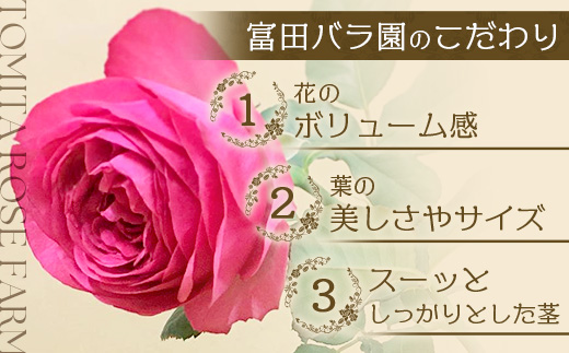 【人気の春・冬薔薇をお届け】 ばら農家直送 ！ バラ花束30本以上お届け(ピンク系) 【ギフト対応可】TB-14│ローズ 新鮮 花 フラワー 花束 ばら 薔薇 バラ 誕生日 記念日 結婚祝い ギフト プレゼント お祝い 贈り物 贈答 鹿児島県 南大隅町 富田バラ園
