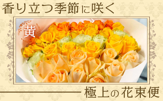 【人気の春・冬薔薇をお届け】 ばら農家直送 ！ バラ花束30本以上お届け(黄系) 【ギフト対応可】TB-15 │ ローズ 新鮮 花 フラワー 花束 ばら 薔薇 バラ 誕生日 記念日 結婚祝い ギフト プレゼント お祝い 贈り物 贈答 鹿児島県 南大隅町 富田バラ園