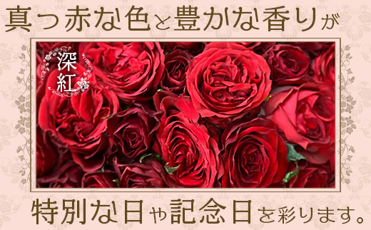 【数量限定・ギフト】ばら農家直送！深紅の薔薇20本お届け TB-17│ローズ 新鮮 バラ 花 フラワー 花束 ばら 薔薇 誕生日 記念日 結婚祝い プロポーズ ギフト プレゼント お祝い 贈り物 贈答 鹿児島県 南大隅町 富田バラ園