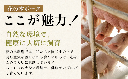 花の木農場 鹿児島県産 豚バラ スライス 約1kg（500g×2パック）HK-10｜ 豚肉 バラ肉 精肉 スライス 冷凍 国産 お肉 農福連携 鹿児島県 南大隅町 第2花の木ファーム
